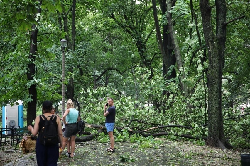 Kraków. Nawałnica zniszczyła drzewa na Twojej posesji? Miasto pomoże