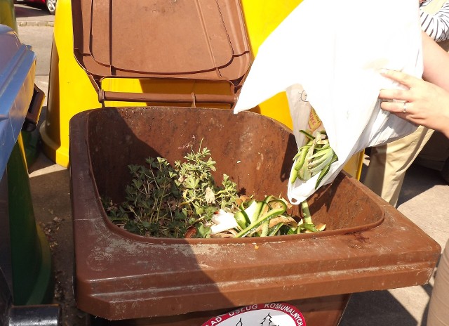 Odpady organiczne nie muszą trafiać do kosza na śmieciBioodpady wyrzucamy do brązowego pojemnika. Tymczasem można je zagospodarować i wykorzystać samodzielnie.