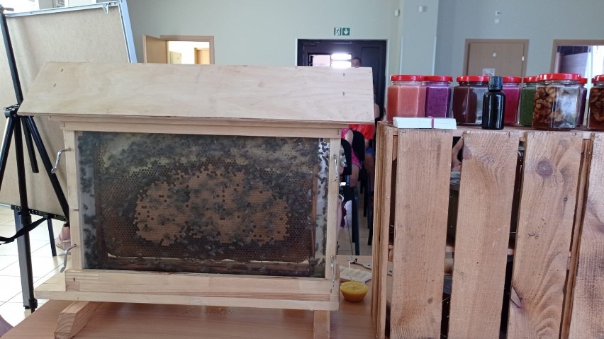 Warsztaty z pszczołami i miodami dla mieszkańców Chwałek. Było słodko, plastycznie i twórczo. Zobacz zdjęcia