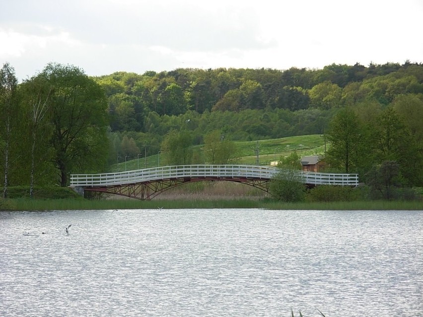 Park Myślęcinek w Bydgoszczy – to największy park miejski w...