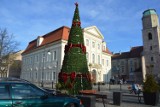 Choinka i bombki w Żaganiu już są! Jak Wam się podobają ozdoby świąteczne?