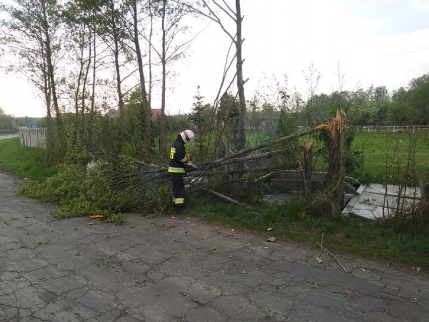 Trąba powietrzna w Wielkopolsce! Najbardziej ucierpiały okolice Pleszewa [ZDJĘCIA, WIDEO]