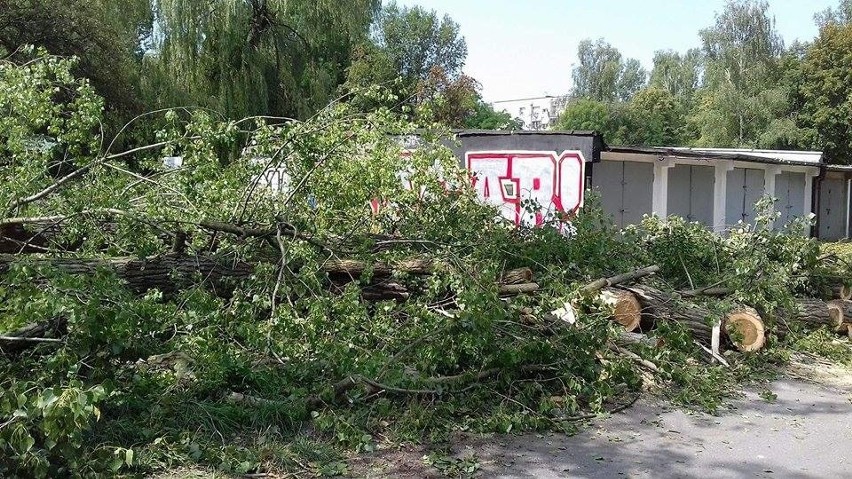 Ulica Racjonalizatorów w Miechowicach