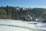 Ferie 2024. TOP 10 szczytów w Beskidach na początek zimowej laby, które można zdobyć łatwo, szybko i przyjemnie