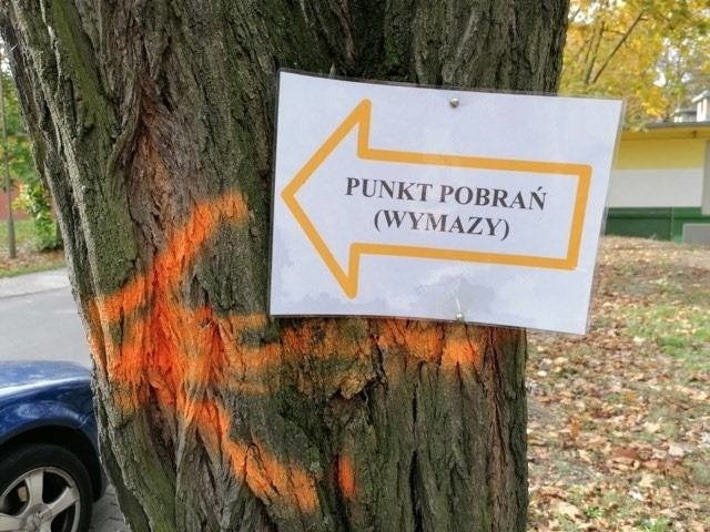 Klika lokalizacji w Nowej Soli jest branych pod uwagę na...