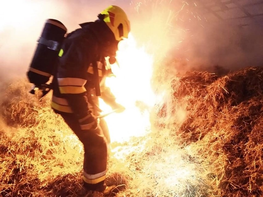 Pożar zabudowań w Piotrkówku. Z ogniem walczyło prawie 70 strażaków