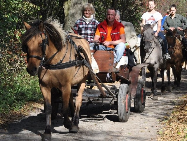 Burmistrz Stąporkowa Dorota Łukomska (z lewej) chce uczyć się konnej jazdy. Zaczęła od... powożenia bryczką podczas otwarcia szlaku konnego w Starym Grzybowie.