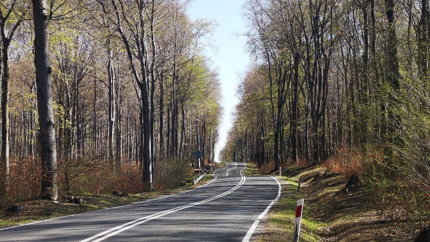 Droga pomiędzy Olkuszem a Trzebinią i 12 zdjęć, po jednym z...