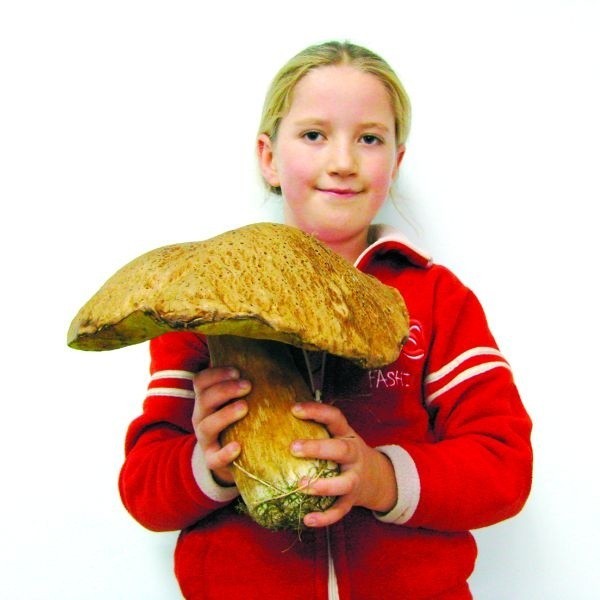 Alicja Romanowska z Szafranek ważący ponad półtora kilograma okaz znalazła w lesie koło Kadzidła