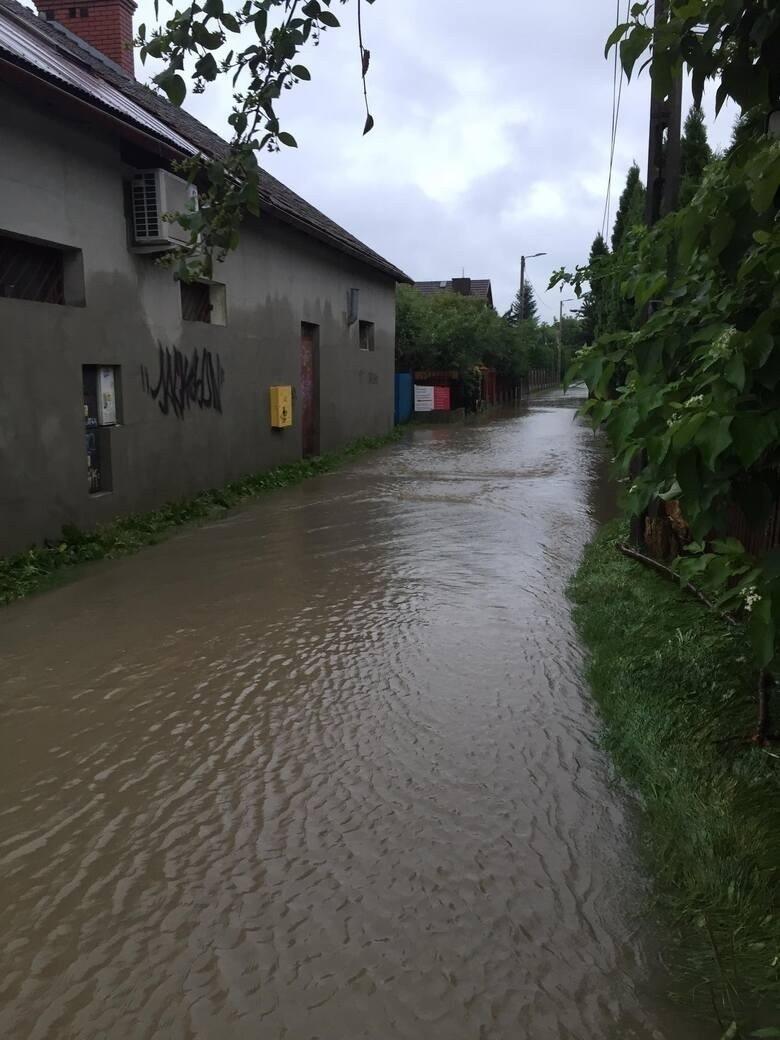 Kraków. Dziś susza, a rok temu woda zalała miasto