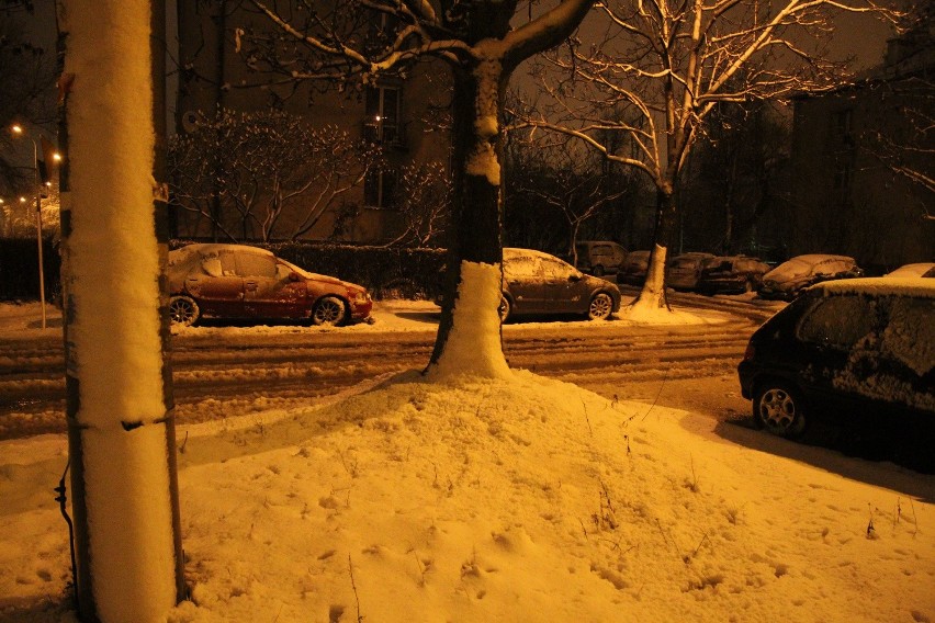 Atak zimy! Połamane drzewa, tysiące ludzi bez prądu. RAPORT