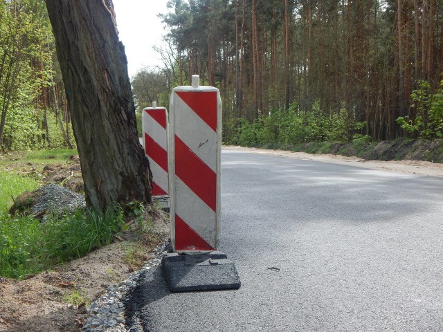 Samotne drzewo pozostawiono przy remontowanej drodze, prowadzącej do Bytnicy.