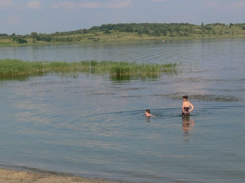 Kłopot z kąpielą w Jeziorze Tarnobrzeskim. Z wodorostami się nie popływa |  Echo Dnia Podkarpackie