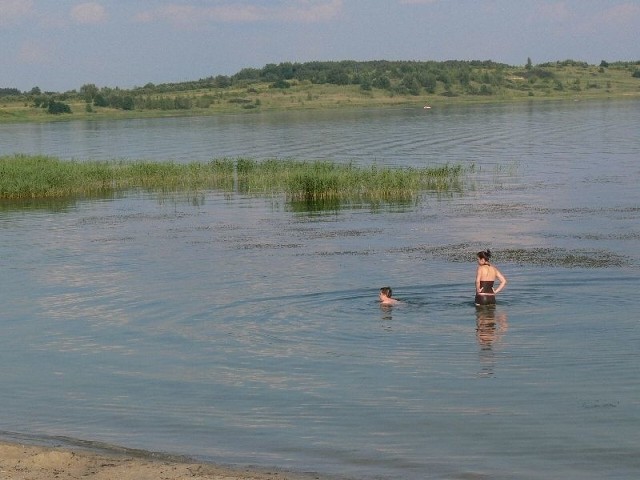 O usunięcie rosnących przy brzegu wodorostów od dłuższego czasu upominają się użytkownicy plaży nad Jeziorem Tarnobrzeskim.