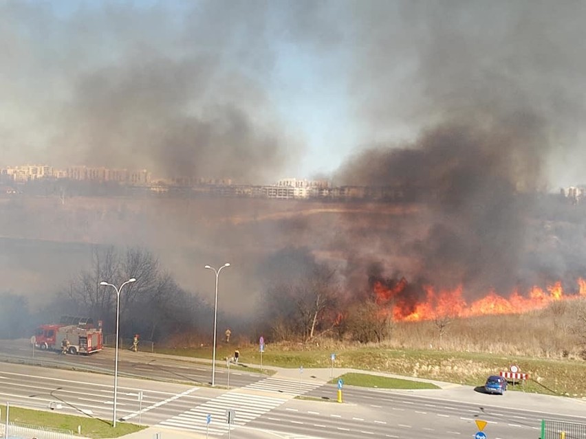 Pożar na Górkach Czechowskich. Akcja gaśnicza zakończona