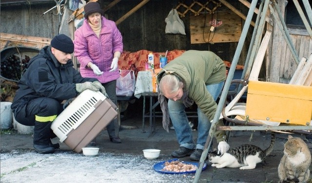 Pracownicy schroniska wspólnie z panią Bogusławą (w środku) rozpoczęli w poniedziałek wyłapywanie dorosłychkotów. Zwierzęta zostaną wysterylizowane i wykastrowane. Potem wrócą na wolność.