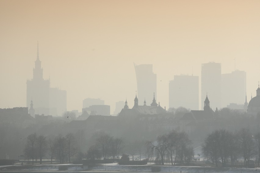 Jerzy Stuhr wygrał proces o smog. Ale takie pozwy nie mają sensu. Dlaczego?