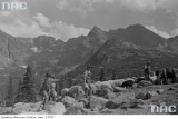 Przedwojenny wypas owiec w Tatrach [ZDJĘCIA ARCHIWALNE]