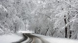 Co wiesz o prowadzeniu auta zimą? QUIZ Odpowiedz na 14 pytań