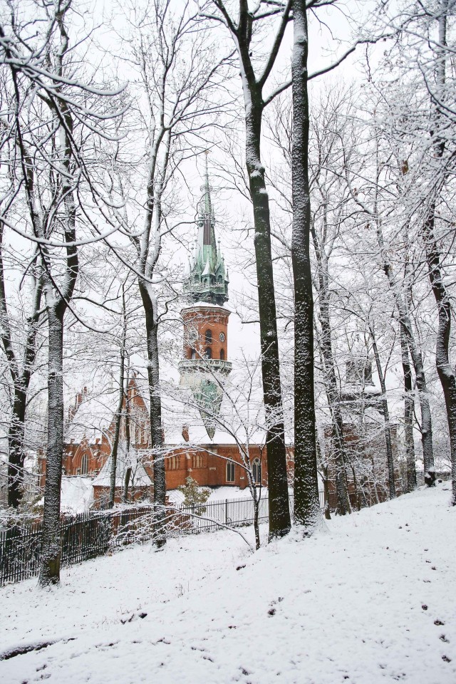 Zima w krakowskim Parku Bednarskiego. Pierwsze opady śniegu przyszły jeszcze w listopadzie