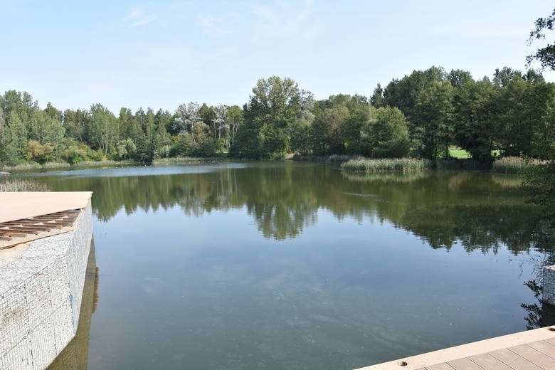 Częstochowa. Na majówkę idziemy do Parku Lisiniec