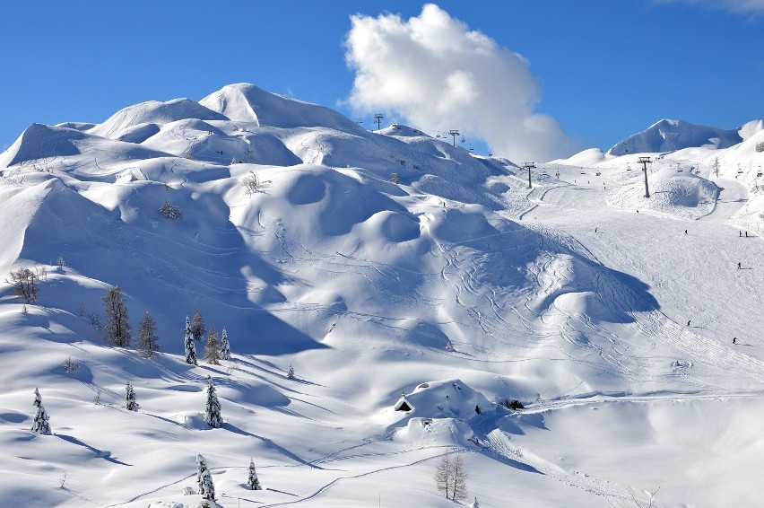 Vogel Ski Center to bardzo urozmaicone trasy poprowadzone w...