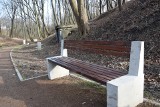 Rewitalizacja parku w Siemianowicach Śląskich. Park Ludowy w Michałkowicach przypomina plac budowy. Park ma jednak całkowicie się zmienić