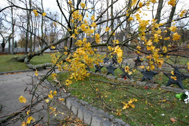 Wichury w Kujawsko-Pomorksiem