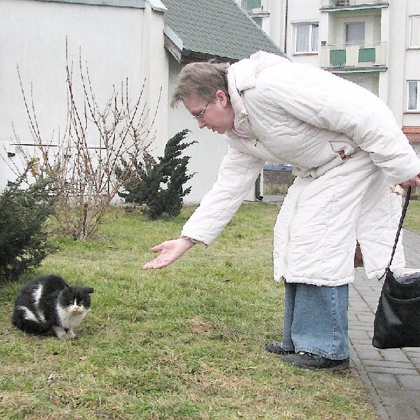 - Bezdomnych kotów w Inowrocławiu jest stanowczo zbyt dużo. Nie możemy pozwolić na to, by dalej tak swobodnie się rozmnażały, jak do tej pory. Dlatego przekonywałam urzędników, że warto przeprowadzić masową sterylizację bezpańskich kotek - tłumaczy Irena Nowakowska.