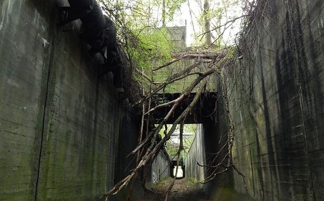 Niezwykły tunel kolei piaskowej, o którym wiedzą nieliczni.Zobacz kolejne zdjęcia. Przesuwaj zdjęcia w prawo - naciśnij strzałkę lub przycisk NASTĘPNE 