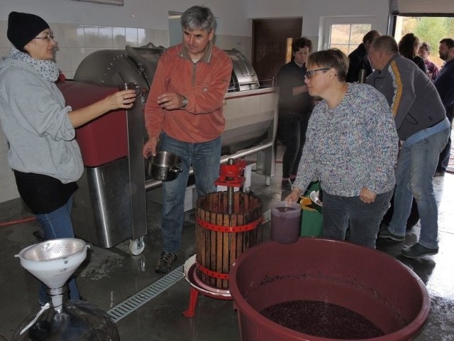 Praktyczna nauka w przetwórni. Kursanci grupy z wielkim zaangażowaniem zabrali się do robienia win. Łącznie przerobili tonę winogron.