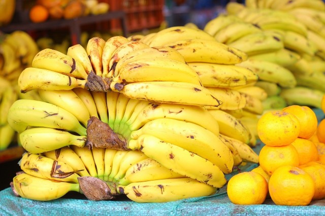 Plantacje bananowców to naturalne środowisko dla niezwyle groźnego wałęsaka brazylijskiego