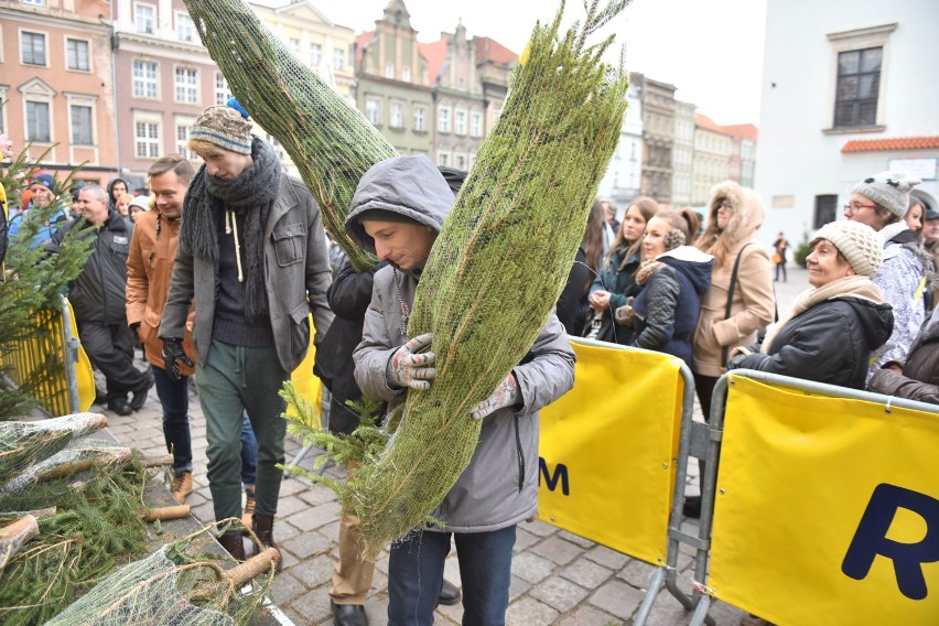 Darmowe choinki: Tak było rok temu na Starym Rynku