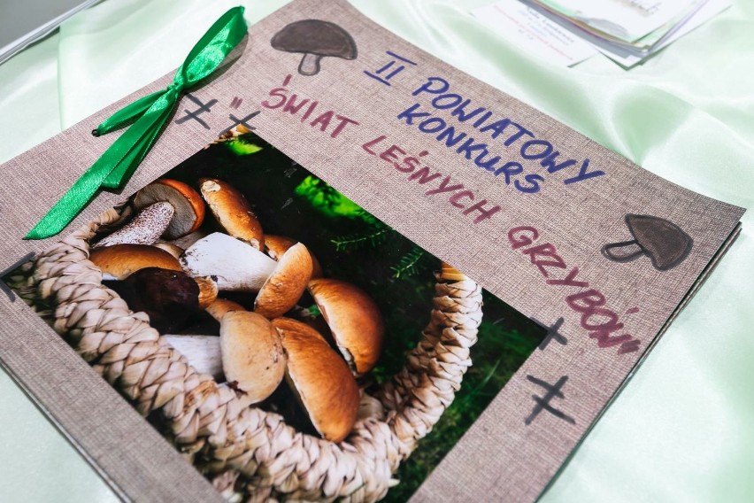 Uczniowie z Bydgoszczy i okolic odkrywali świat leśnych grzybów. Konkursowe prace to prawdziwe dzieła sztuki [zdjęcia]