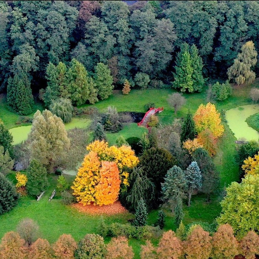 Park i arboretum w Lusławicach udostępnione są do zwiedzania...