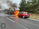 Pożar samochodu osobowego w Witkowie. Zobacz zdjęcia!