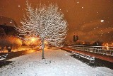 Śnieg we Wrocławiu. Widok piękny i... rzadki [ZDJĘCIA]