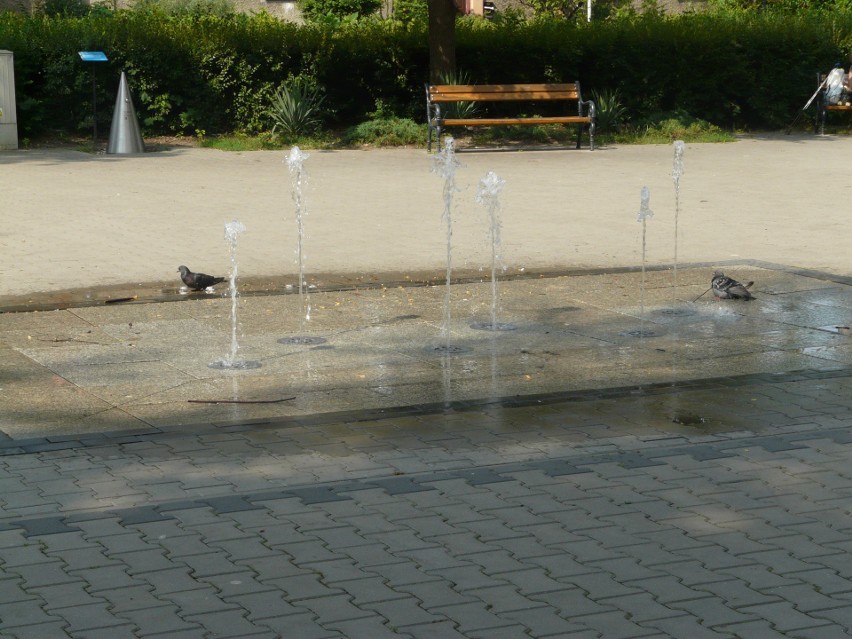 Nie działa fontanna w parku im. Słowackiego w Pabianicach. Co się stało? ZDJĘCIA