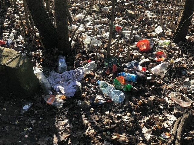 Puste butelki, niedopałki papierosów i inne wszelkiego rodzaju śmieci "zdobią' okolice pętli na Starołęce.