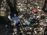 Śmieci, niedopałki i puste "małpki" na pętli Starołęka w Poznaniu. Wizyty policji i straży miejskiej nie pomagają 