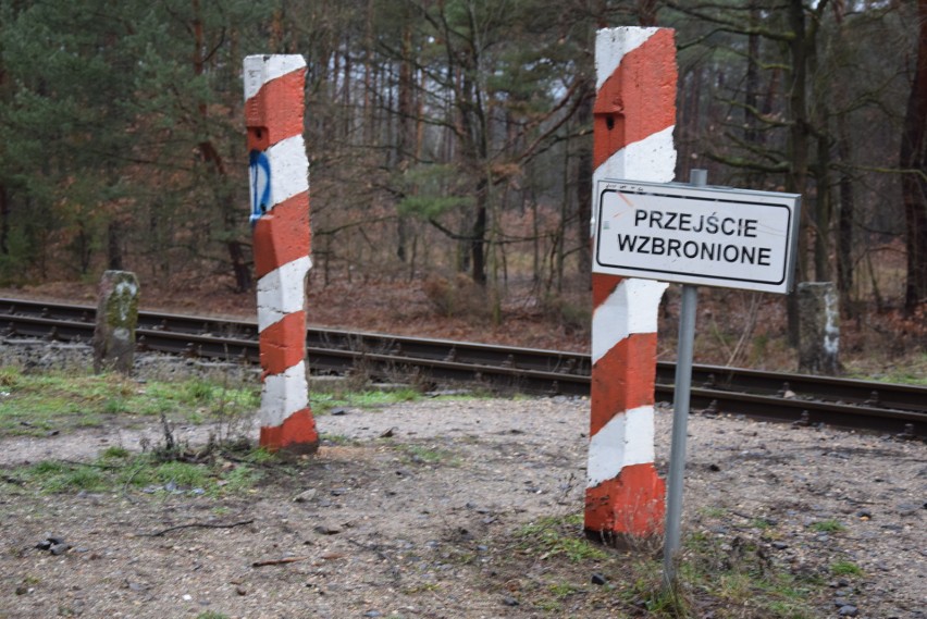 Między osiedlem Leśnym a Zaciszem były dwa przejścia przez...