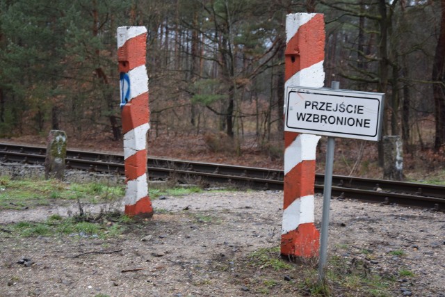 Między osiedlem Leśnym a Zaciszem były dwa przejścia przez tory. Od 2016 roku jednak funkcjonuje tylko jedno. Drugie zostało zamknięte, co znacznie utrudnia mieszkańcom życie. Interweniowali gdzie się dało, bez skutku. Czy to naprawdę tak wielki wydatek, by mogły funkcjonować oba przejścia? [Jak tłumaczyli przedstawiciele PKP Polskie Linie Kolejowe S.A. o likwidacji przejazdu na os. Zacisze zadecydowały względy bezpieczeństwa.W trakcie okresowej kontroli przejazdów kolejowo – drogowych w Zielonej Górze, stwierdzono, że ten przy ul. Bananowej nie jest osygnalizowany znakami od strony drogi – tłumaczyli. - Zgodnie z rozporządzeniem w sprawie warunków technicznych, jakim powinny odpowiadać skrzyżowania linii kolejowych z drogami, do zarządcy drogi należy obowiązek ustawienia znaków drogowych na dojazdach do przejazdów. Takie oznakowanie jest konieczne. Bez znaków żaden przejazd nie jest bezpieczny.Likwidacja przejścia odbyła się za zgodą nadleśnictwa i urzędu miasta.W odległości ok. 250 m jest czynny przejazd właściwie oznakowany, którego zarządcą drogi jest także nadleśnictwo Zielona Góra.A co z tym przejściem bliżej osiedla? PKP Polskie Linie Kolejowe S.A. powołały komisję z udziałem zarządcy drogi - nadleśnictwa i urzędu. Komisja potwierdziła brak osygnalizowania przejazdu, ale ani nadleśnictwo, ani urząd miasta nie wzięły na siebie obowiązku postawienia stosownych znaków na dojazdach do przejazdu. W związku z tym podjęto decyzję o likwidacji przejazdu.Nadleśnictwa nie stać na utrzymanie dwóch przejazdów. To się wiąże z ciągłymi kontrolami, odpowiedzialnością. - Nam był potrzebny jeden przejazd, by prowadzić gospodarkę leśną. Zdecydowaliśmy się więc na ten, położony dalej od osiedla – to z kolei wyjaśnienia nadleśnictwa. Co na to miasto? Jak tłumaczyło tę sytuacje? Zdaniem właścicieli terenu: Lasów Państwowych i PKP przejście to wymagałoby zmiany oznakowania oraz przebudowy. Lasy Państwowe  nie wyraziły zgody na wykonanie prac na swoim terenie, żeby poprawić widoczność. Natomiast prace, które miałaby wykonać PKP, wymagają opracowania dokumentacji projektowej organizacji ruchu i wykonania robót budowlanych. Miasto bez zgody tych właścicieli nie może na ich terenie zrealizować tych zadań.Od 2016 roku minęło sporo czasu, sprawa nie została załatwiona po myśli mieszkańców, którzy liczą, że może 2019 przyniesie jakieś działania… - Bo to jest absurd. Mieszkańcy osiedla nadal korzystają z tego zamkniętego przejścia, nie tylko chodząc na spacery, ale tędy wiedzie też droga na działki czy do zakładów pracy przy ul. Foluszowej – mówią mieszkańcy. Zobacz wideo: Nowy Bachusik PCK w Zielonej Górze