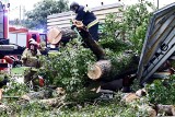 Tramwaje nie jeżdżą na Poświętne. Trwa usuwanie skutków wczorajszej burzy we Wrocławiu