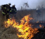 Wielkie wypalanie traw. Strażacy gaszą pożary