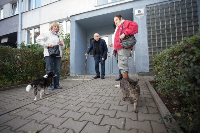 Mieszkańcy Popowic martwią się o koty, które po zamontowaniu krat straciły ciepłe i bezpieczne schronienie