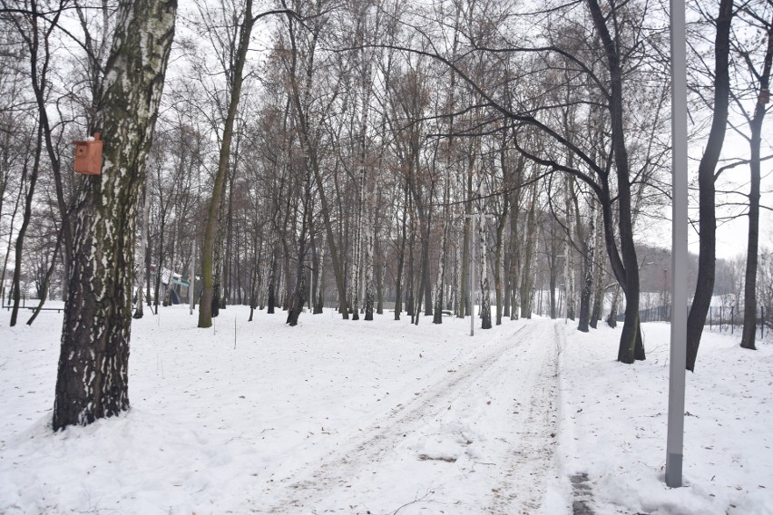 Rewitalizacja Parku Furgoła kosztowała ok. 8,7 mln zł.