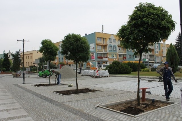 Trwa rewitalizacja Rynku w Oleśnie. Nasadzone zostały już nowe drzewa.[yt]cS0gdbjn51Y[/yt]