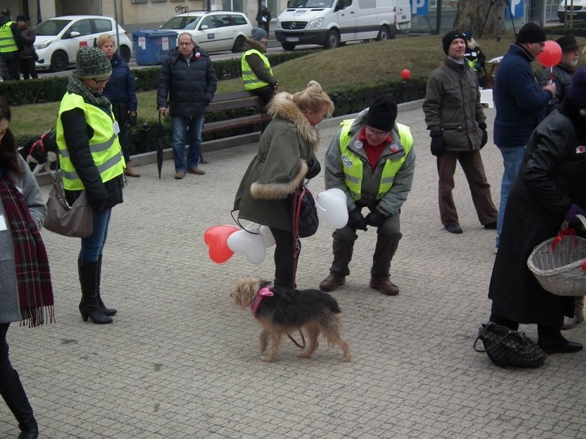 KOD apelował o przytulanie się na placu Wolności