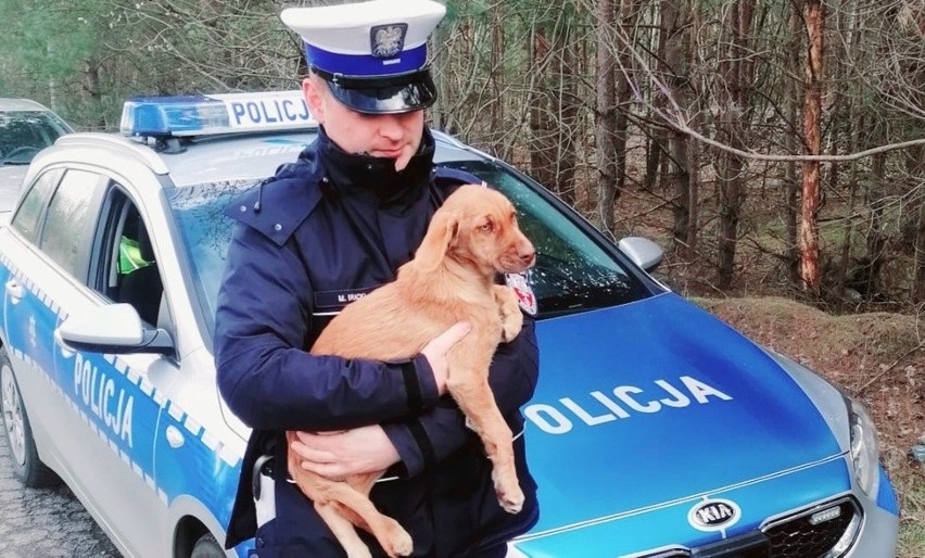 Ktoś bezduszny w Nisku porzucił w lesie psa w worku! Zwierzęciu pomogli policjanci. Zobacz zdjęcia