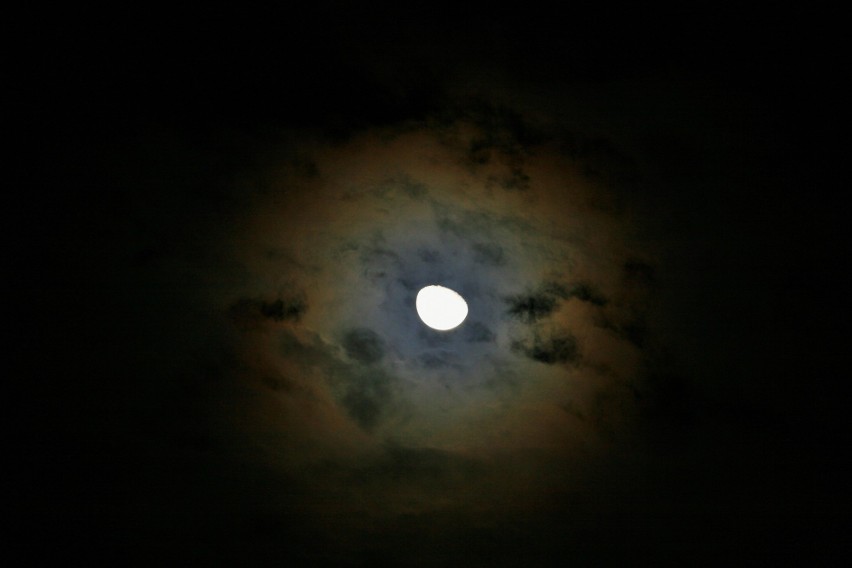 Jeśli w nocy wokół księżyca da się zaobserwować tzw. lisią...